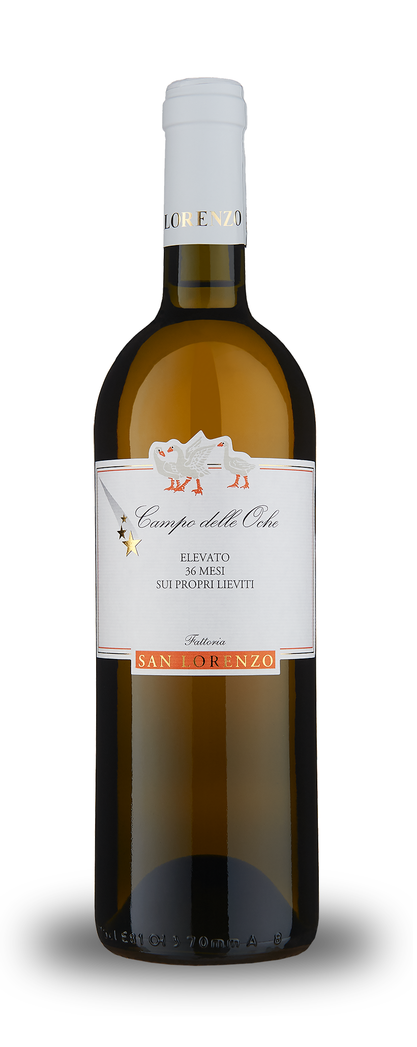 Campo delle Oche Verdicchio 2021