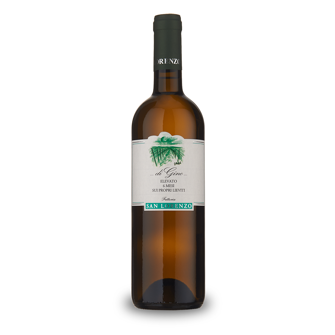 Verdicchio di Gino 2024