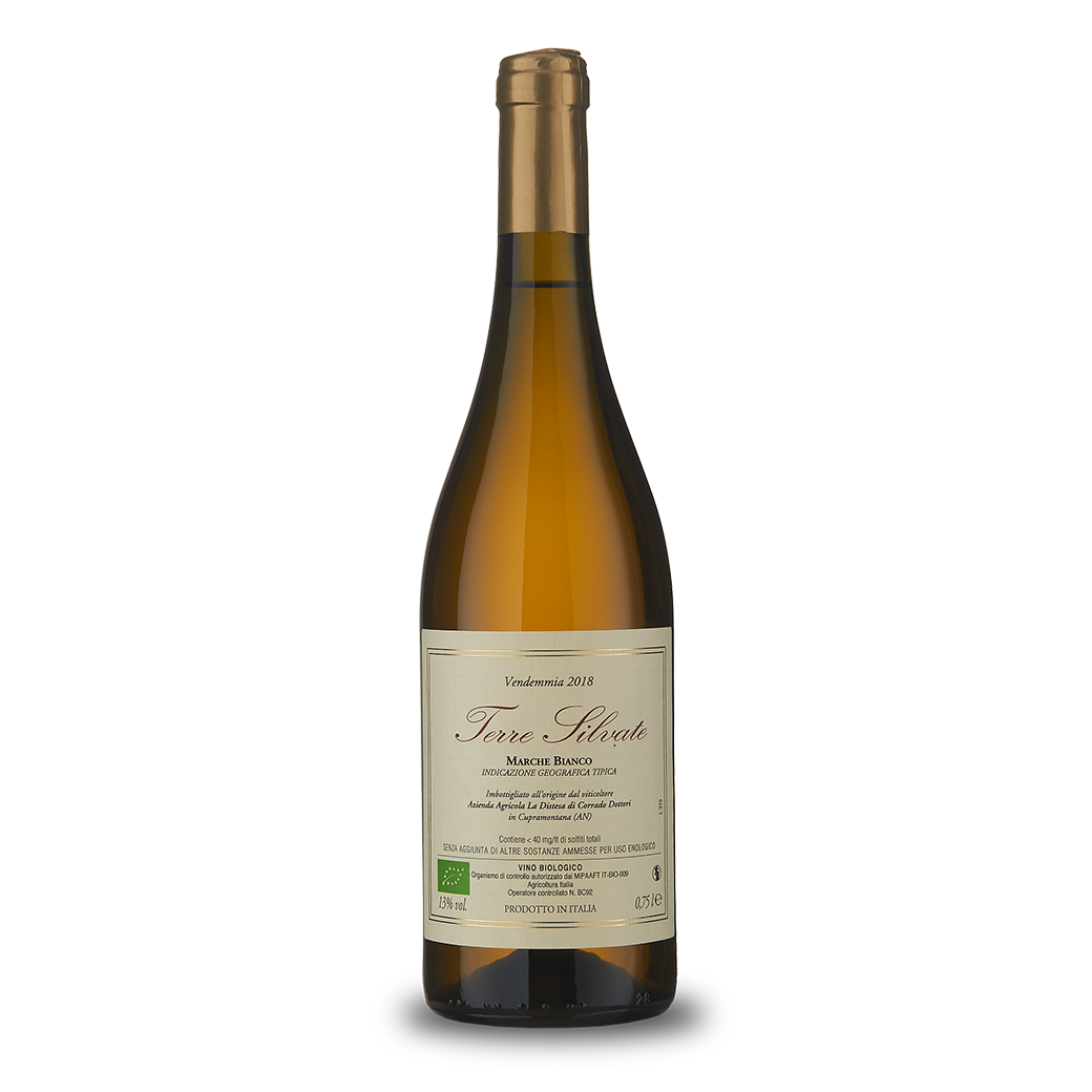 Terre Silvate 2018