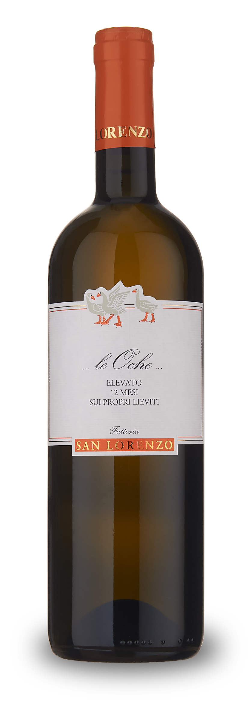 Le Oche Verdicchio 2023