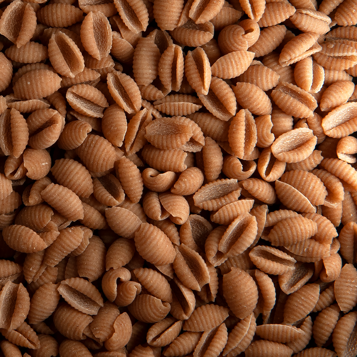 Gnocchetti from Timilia Wheat, Organic