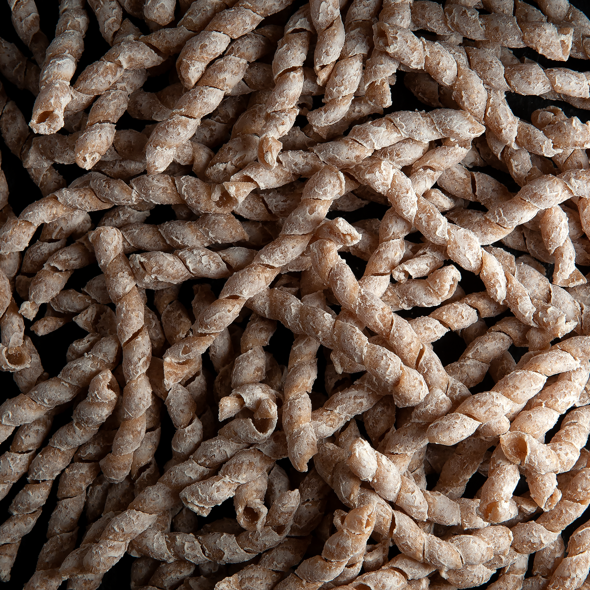 Busiate from Timilia wheat, organic