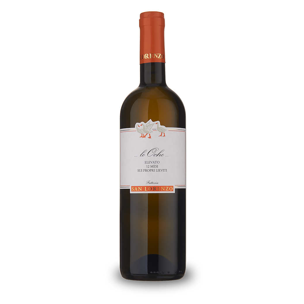 Le Oche Verdicchio