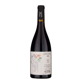 Aglianico Vino Rosso 2023