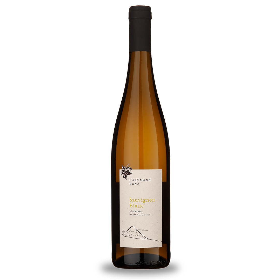 Sauvignon 2023