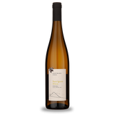 Sauvignon 2023